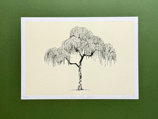 A black ink sketch of a weeping tree on a cream-colored paper sheet with a white border, displayed against a solid dark green background.