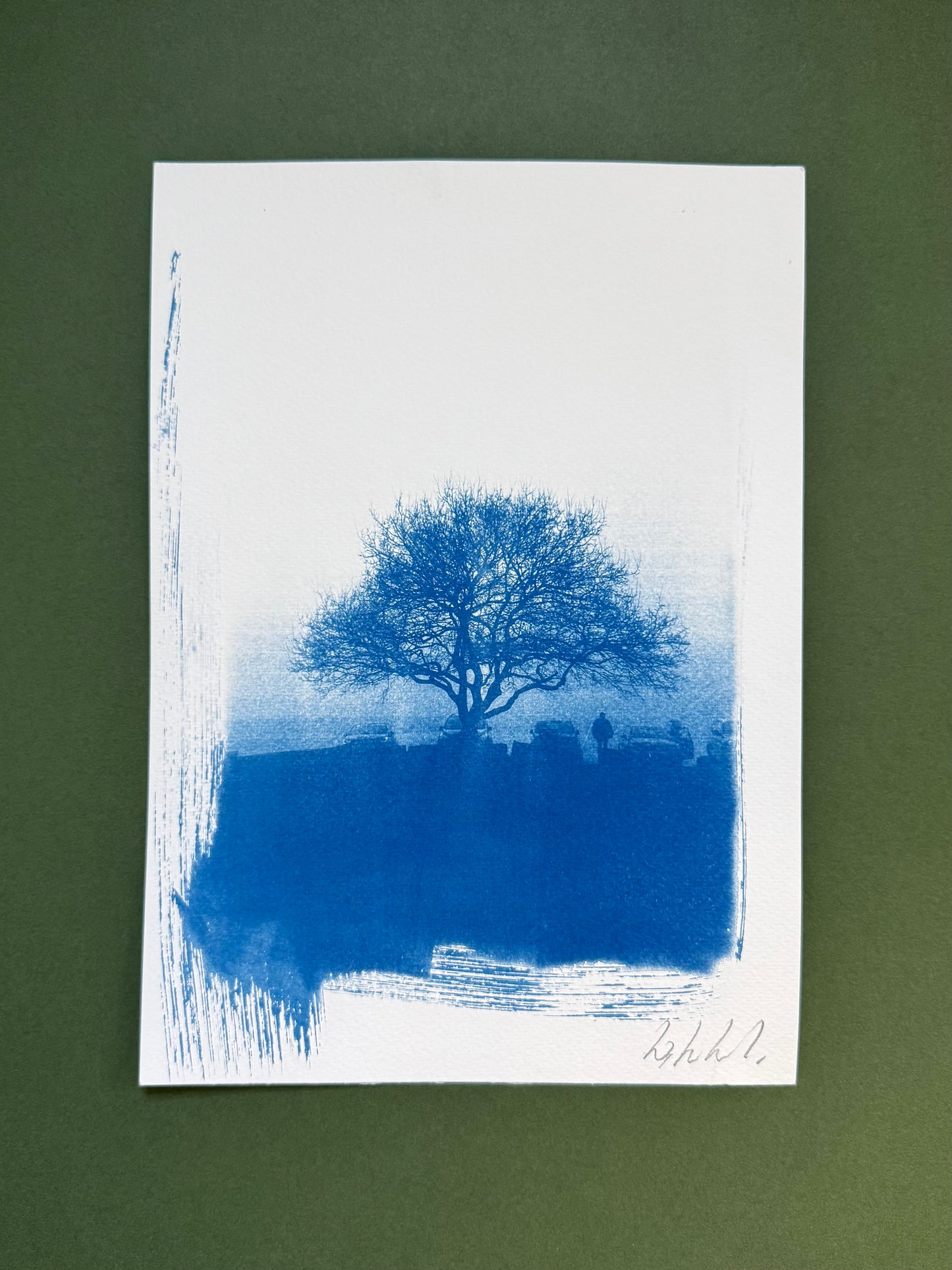 Original blue-and-white A4 cyanotype of a bare hawthorn on a misty morning at Lickey Hills, signed by Warren Garland.