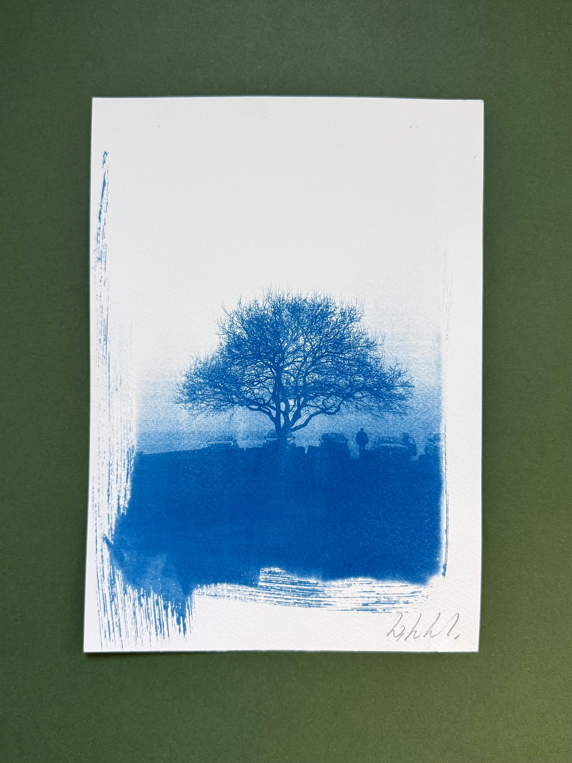 Original blue-and-white A4 cyanotype of a bare hawthorn on a misty morning at Lickey Hills, signed by Warren Garland.