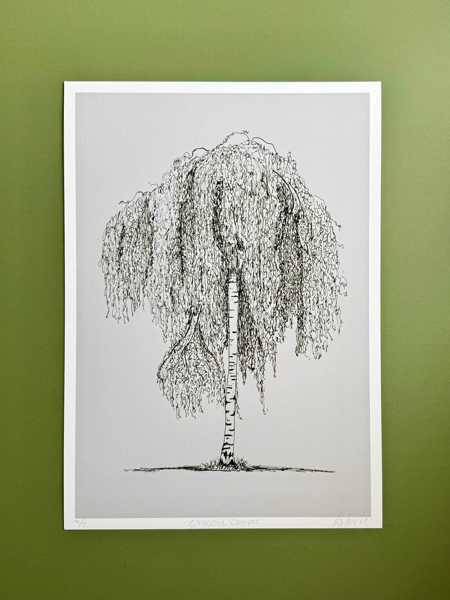 Framed black and white illustration of a weeping willow tree on a gray background.