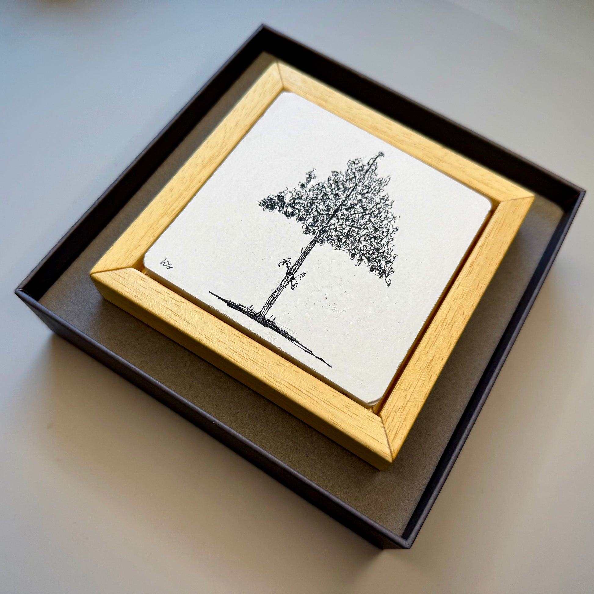Framed black and white tree drawing on a light surface in a presentation box