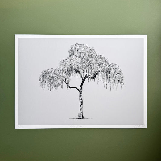 Highcliffe Silver Birch (Grey) — A4 Limited Edition Giclée Print