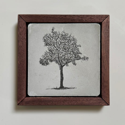 “Framed ink drawing of a single tree by Warren Garland on a grey cement tile, set in a dark wood frame.”
