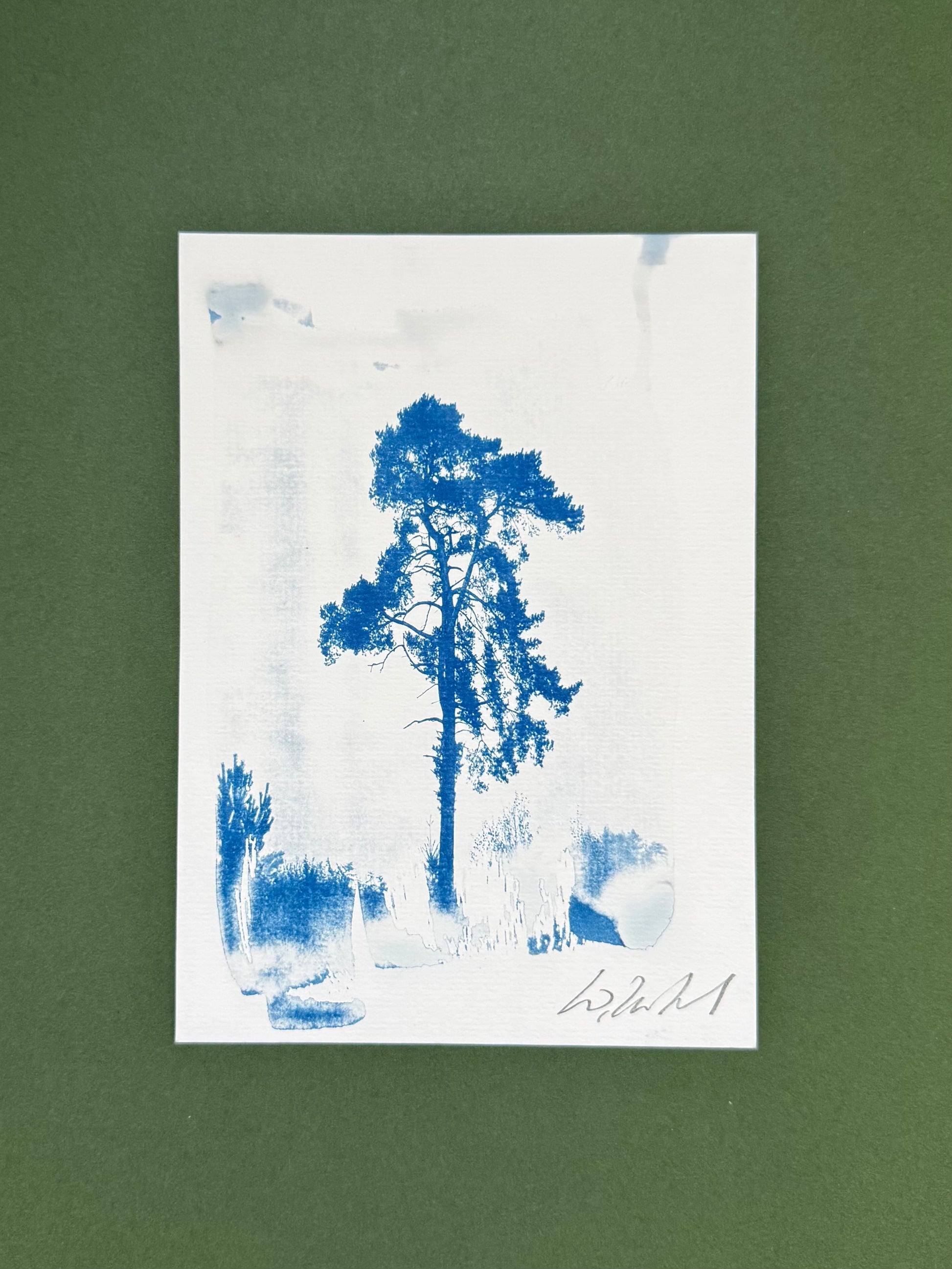 A5 Lickey Pine cyanotype displayed with a white mount in a dark wooden frame.