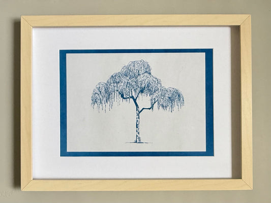 “Highcliffe Silver Birch – artist proof cyanotype test print by Warren Garland, A4, Prussian blue”