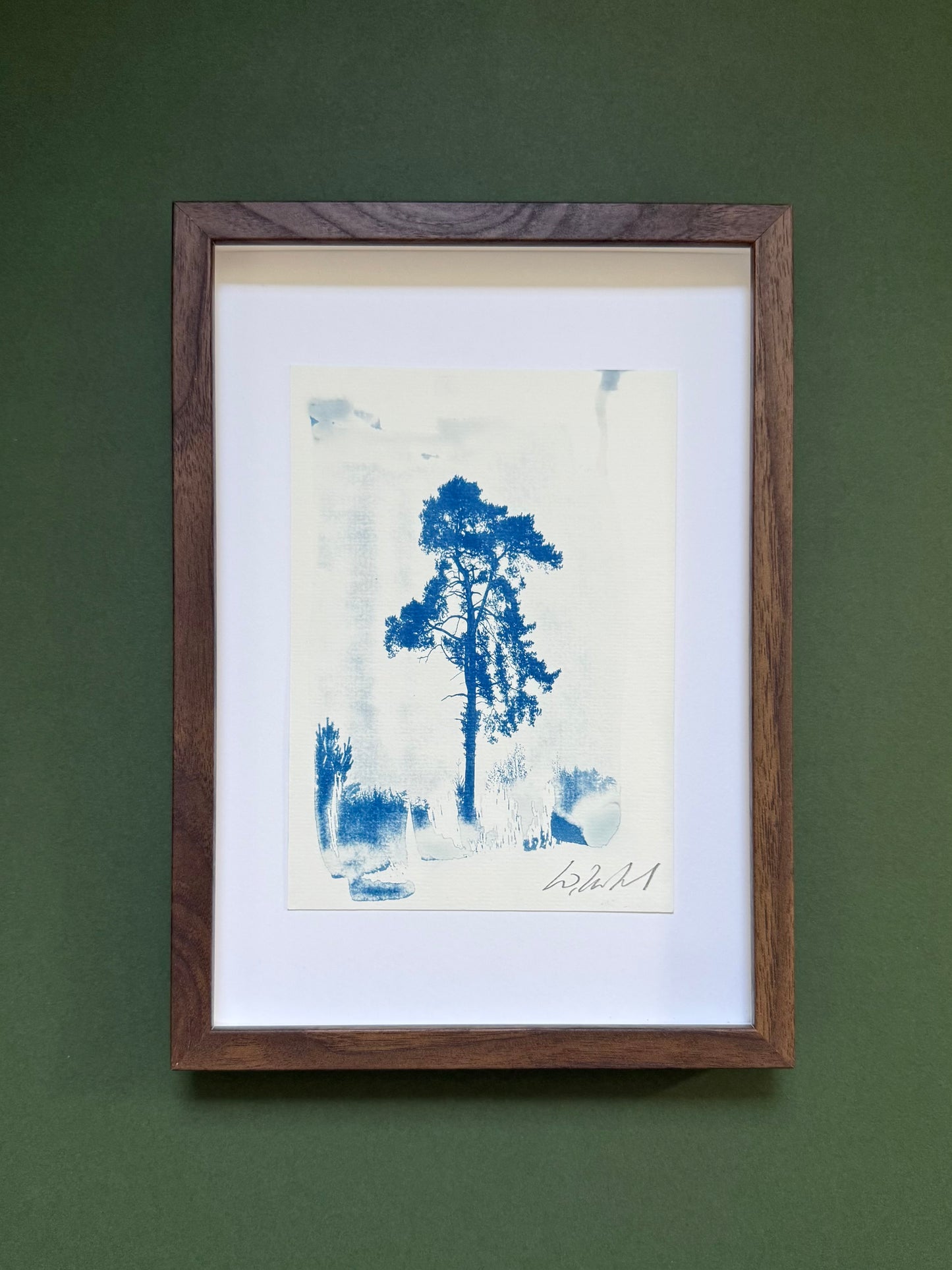  Unframed: Original blue-and-white A5 cyanotype of a solitary pine at Lickey Hills, signed by Warren Garland.