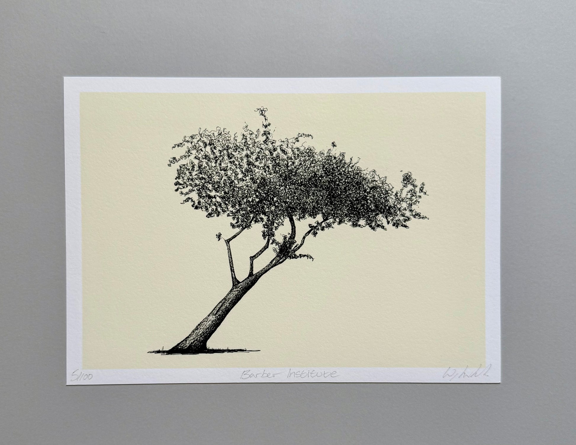 A botanical art print featuring a detailed black ink sketch of a single tree on a warm cream background, bordered by a white margin with handwritten edition details at the bottom, displayed against a neutral gray background.