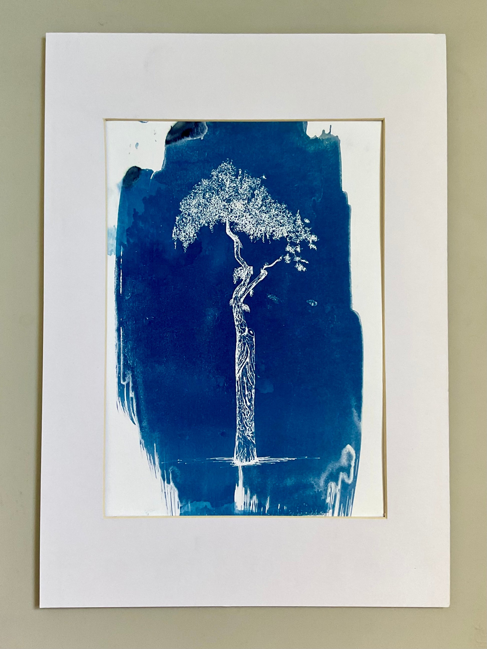 Original A4 cyanotype print of a parasol-shaped tree in Athens, printed in deep blue on watercolour paper.
