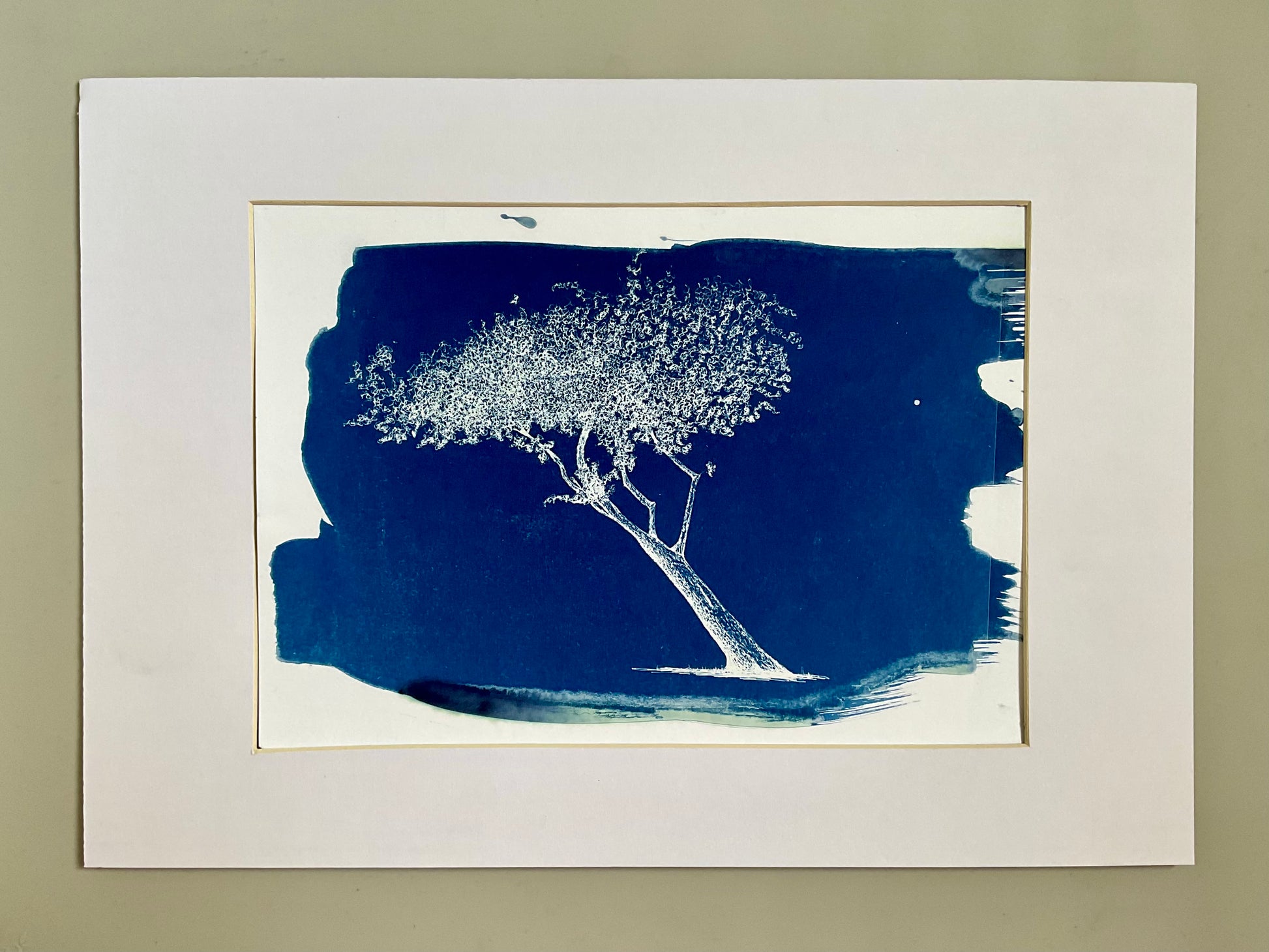 Original cyanotype of a leaning tree in white silhouette on deep blue background. A4 print, unframed.