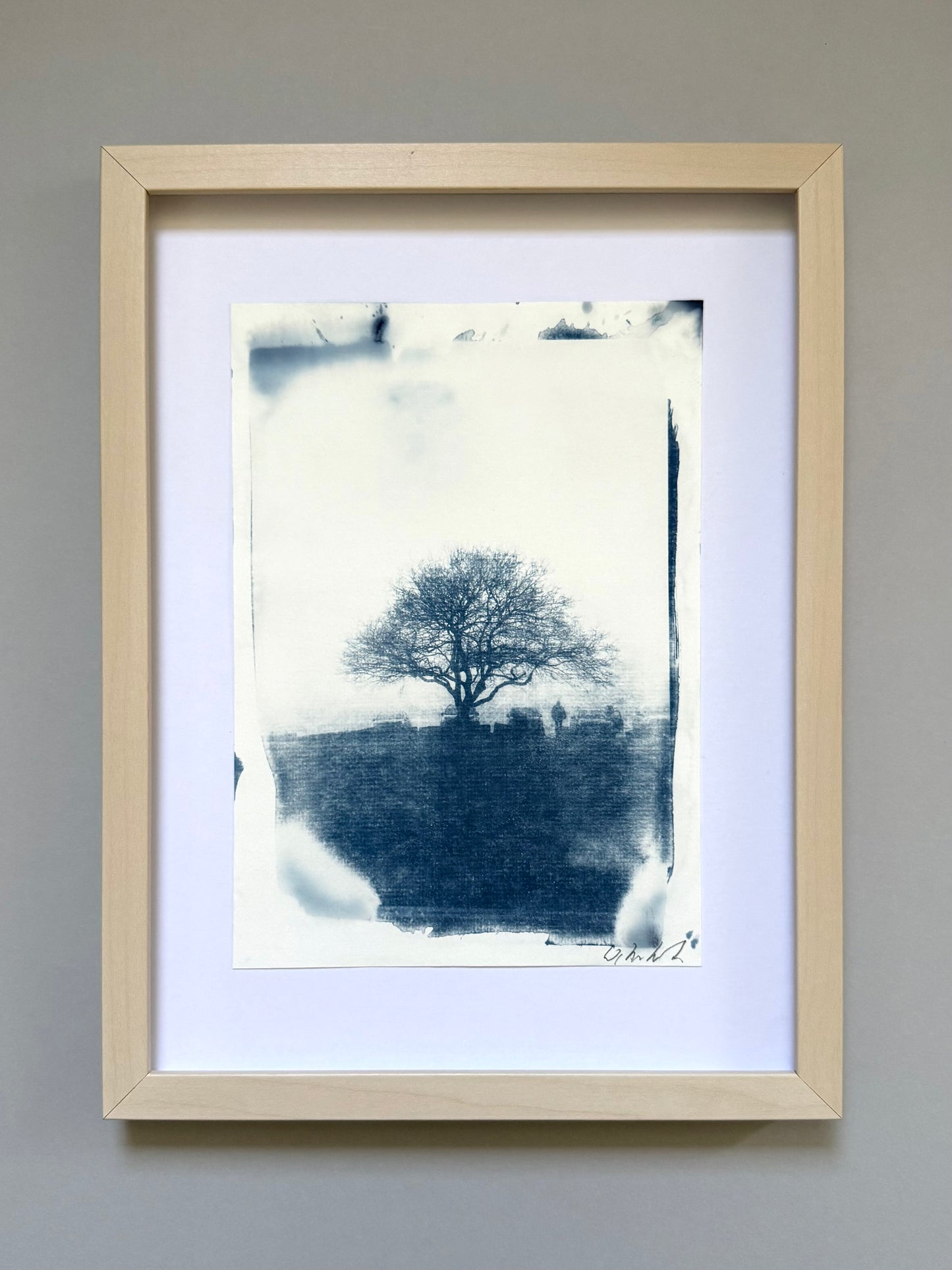 amed original handmade cyanotype of a hawthorn tree on Lickey Hills, Worcestershire, presented in a light wood frame with a white conservation mount, ready to hang.