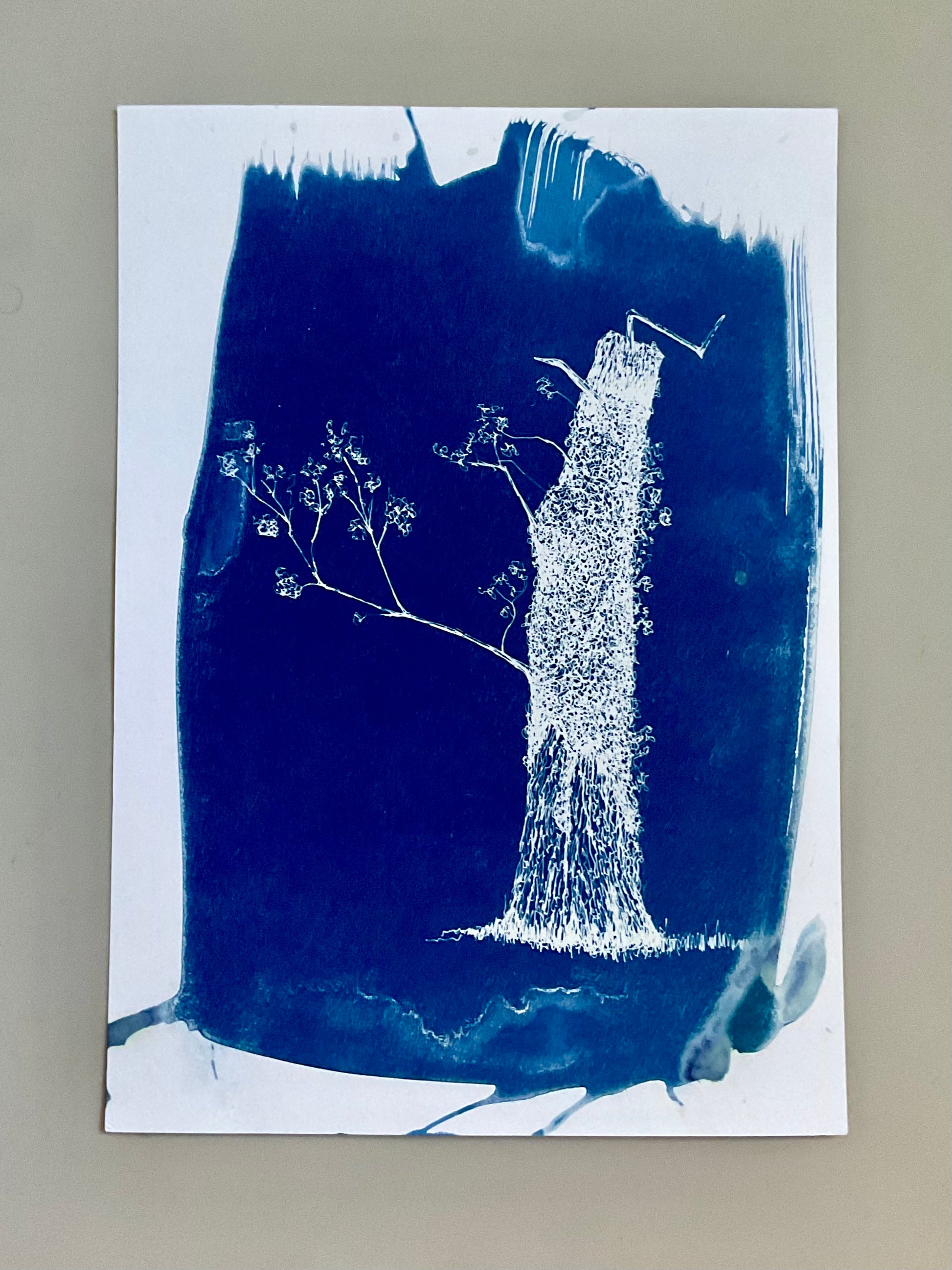 Original cyanotype print of a leaning tree and cow parsley in rich blue tones on A4 paper, unframed.