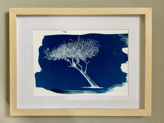Original cyanotype of a leaning tree in white silhouette on deep blue background. A4 print, unframed.