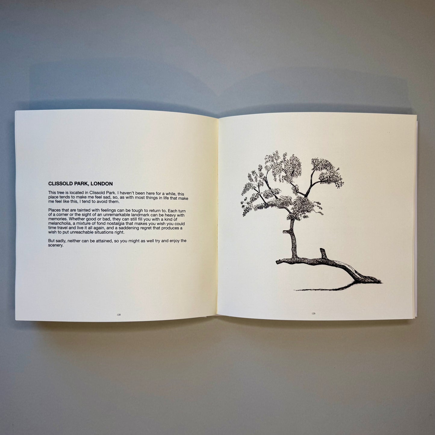 Drawing Collection 2021–2025 — First Edition Artist Book — Limited Edition, Signed & Numbered — Warren Drawing Trees