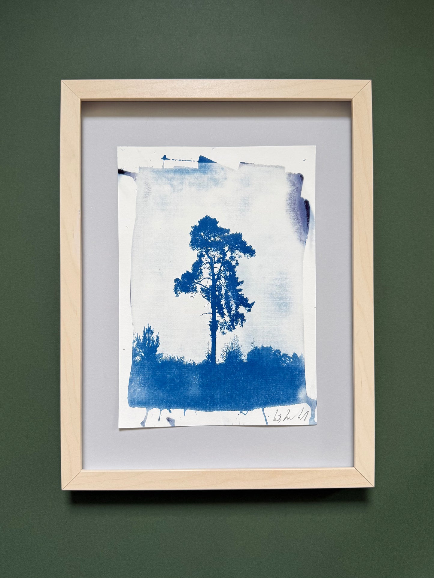 Framed original handmade cyanotype of a solitary pine tree on Lickey Hills, Worcestershire, presented in a light wood frame with a grey mount, ready to hang.
