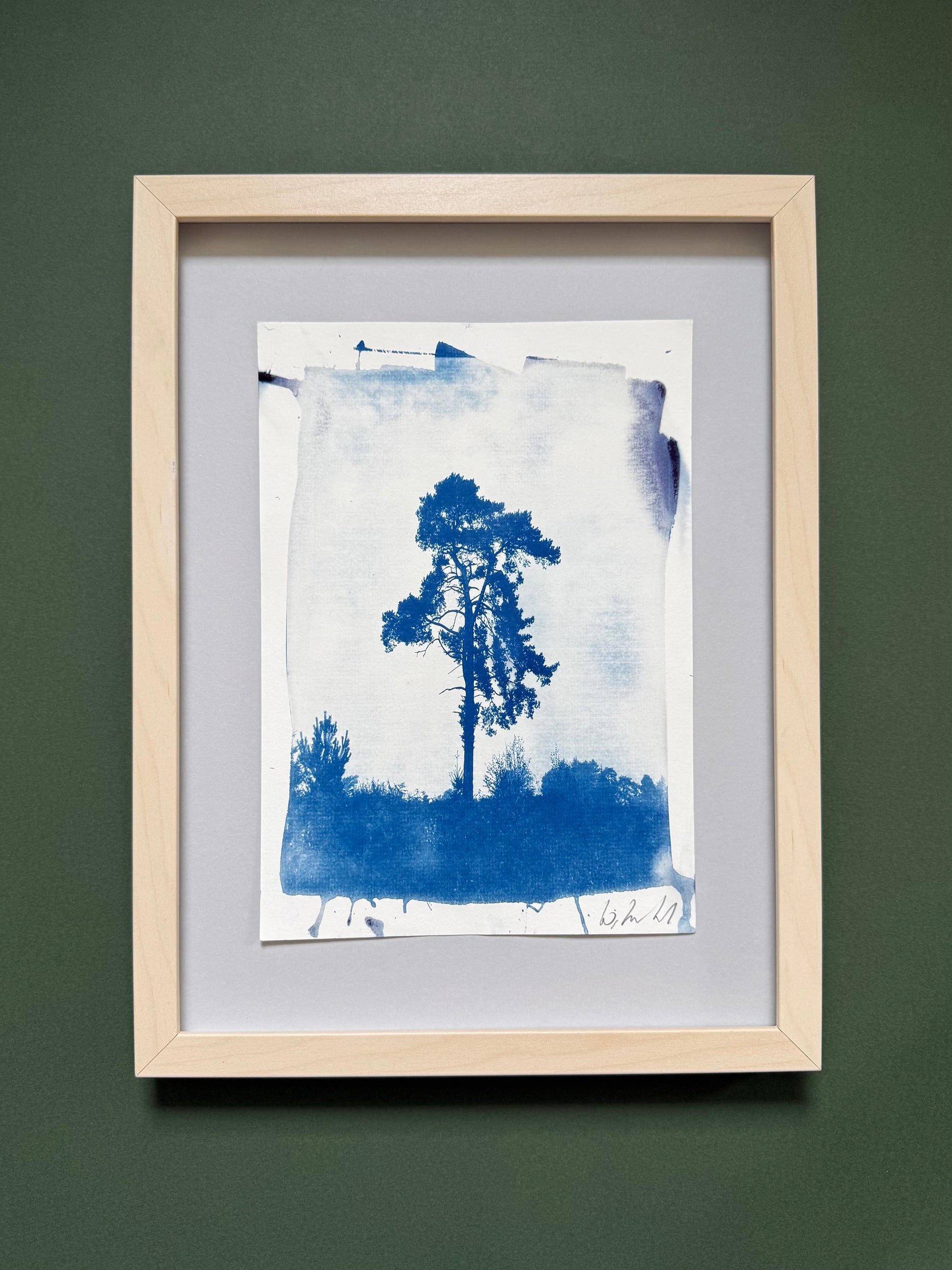 Framed original handmade cyanotype of a solitary pine tree on Lickey Hills, Worcestershire, presented in a light wood frame with a grey mount, ready to hang.
