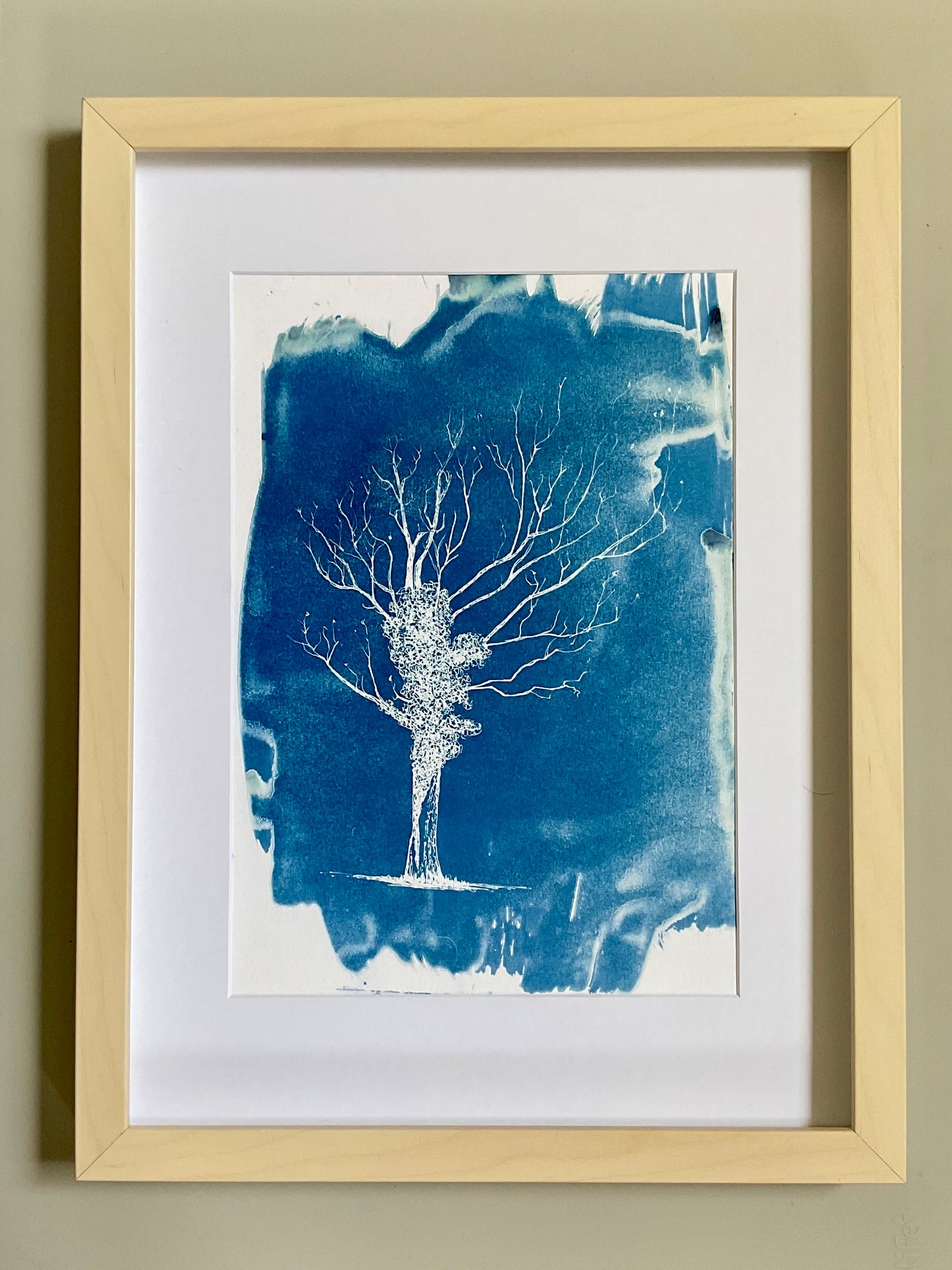 Birts Court Ivy Oak – Original Cyanotype Print