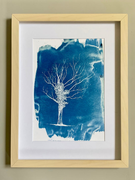Birts Court Ivy Oak – Original Cyanotype Print