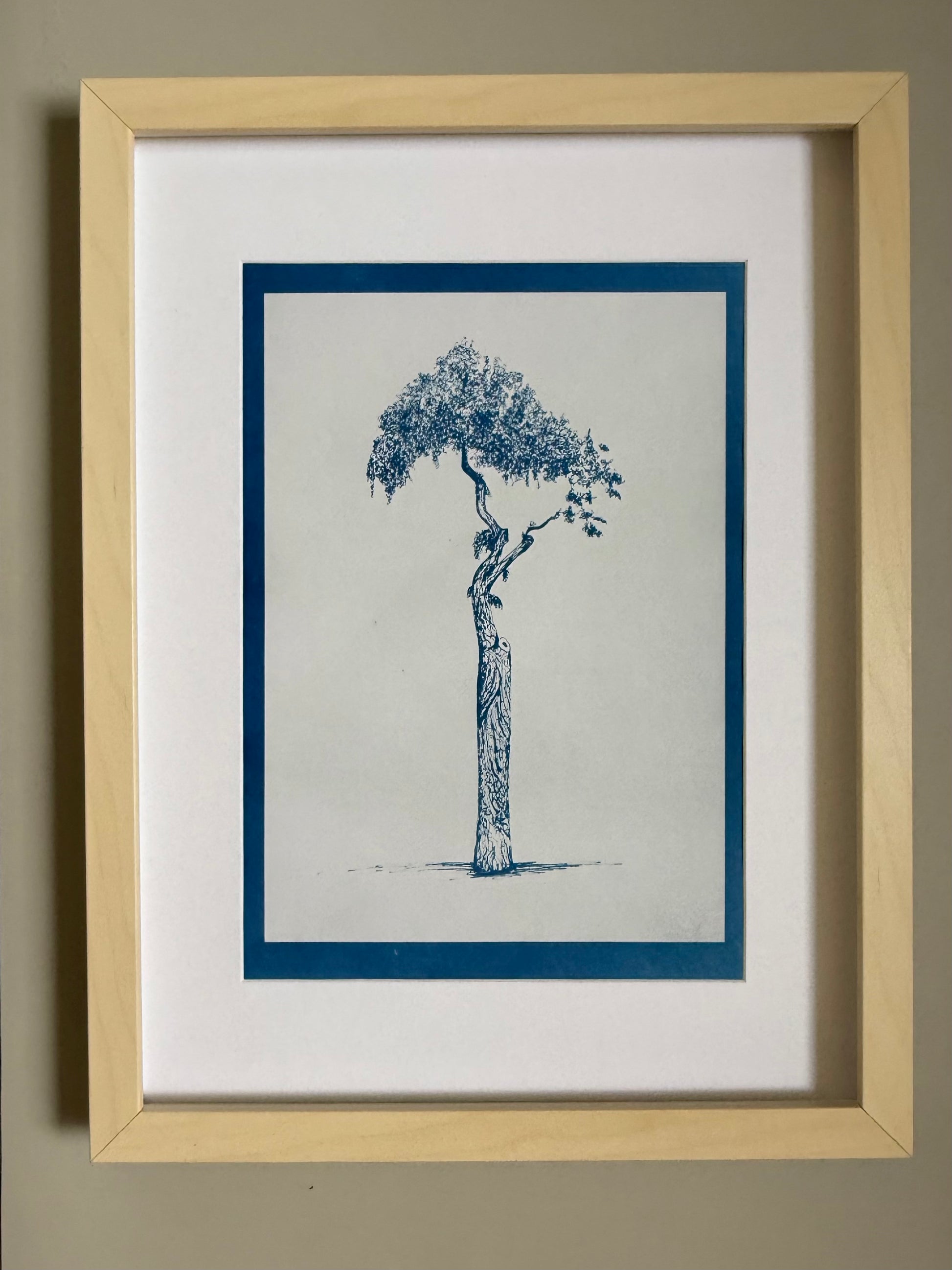 Artist proof cyanotype test print of the Athens Parasol Tree on A4 120gsm paper, showing variations from the final edition.