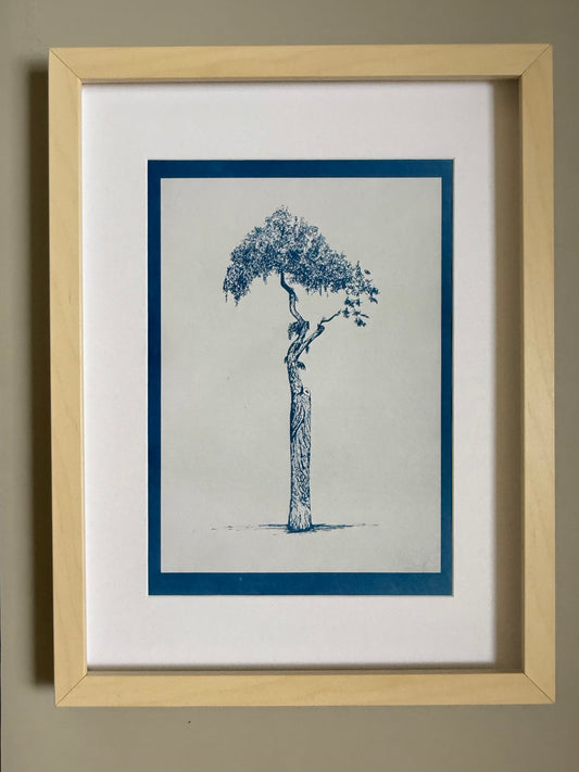Artist proof cyanotype test print of the Athens Parasol Tree on A4 120gsm paper, showing variations from the final edition.