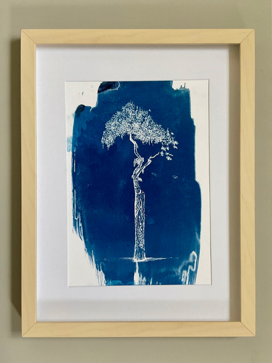 Athens Parasol Tree – Original Cyanotype Print (A4)