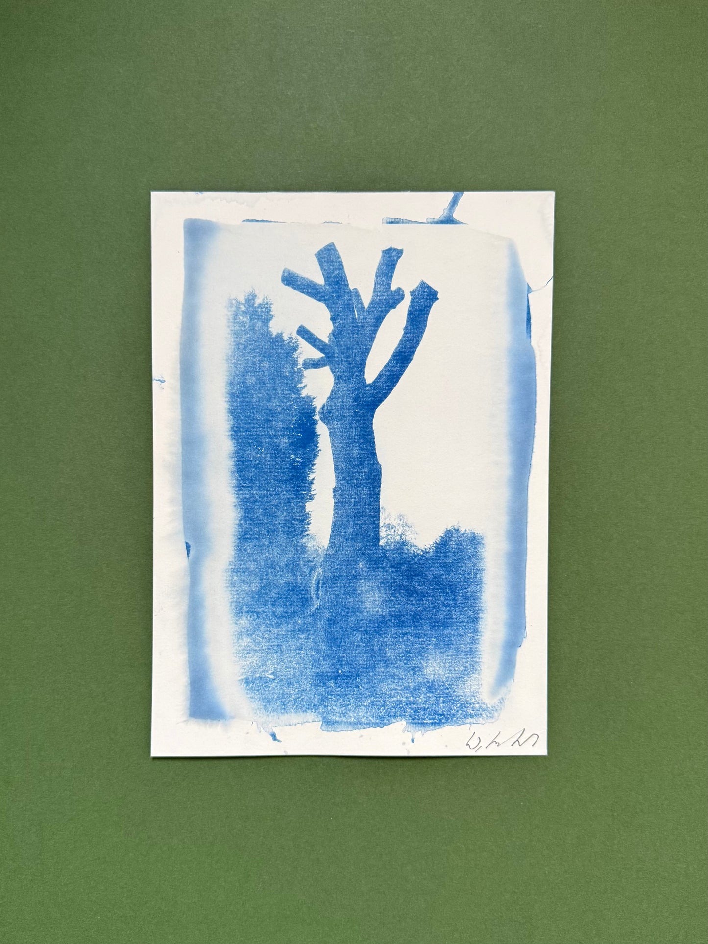 Original handmade cyanotype of a pollarded tree in Moseley Park and Pool, Birmingham, presented with a green mount.