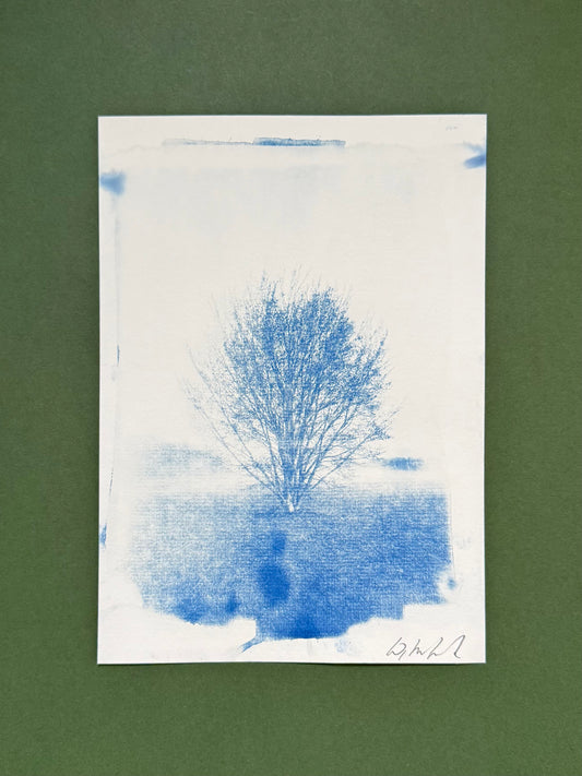 Original handmade cyanotype of a solitary tree on Hackney Marshes, London, created from Warren Garland’s own reference photograph.