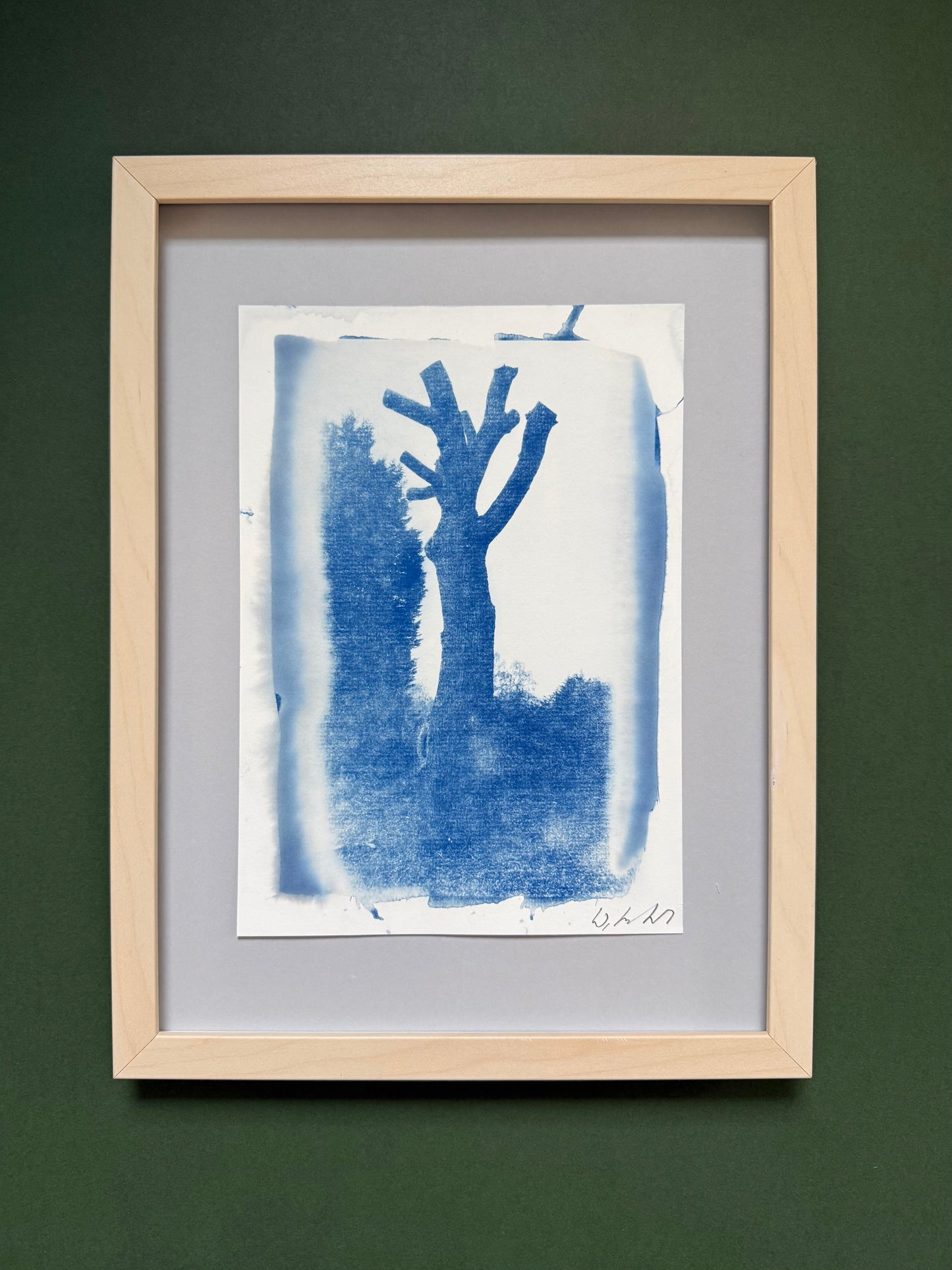 Framed original handmade cyanotype of a pollarded tree in Moseley Park and Pool, Birmingham, presented in a light wood frame with a grey mount.
