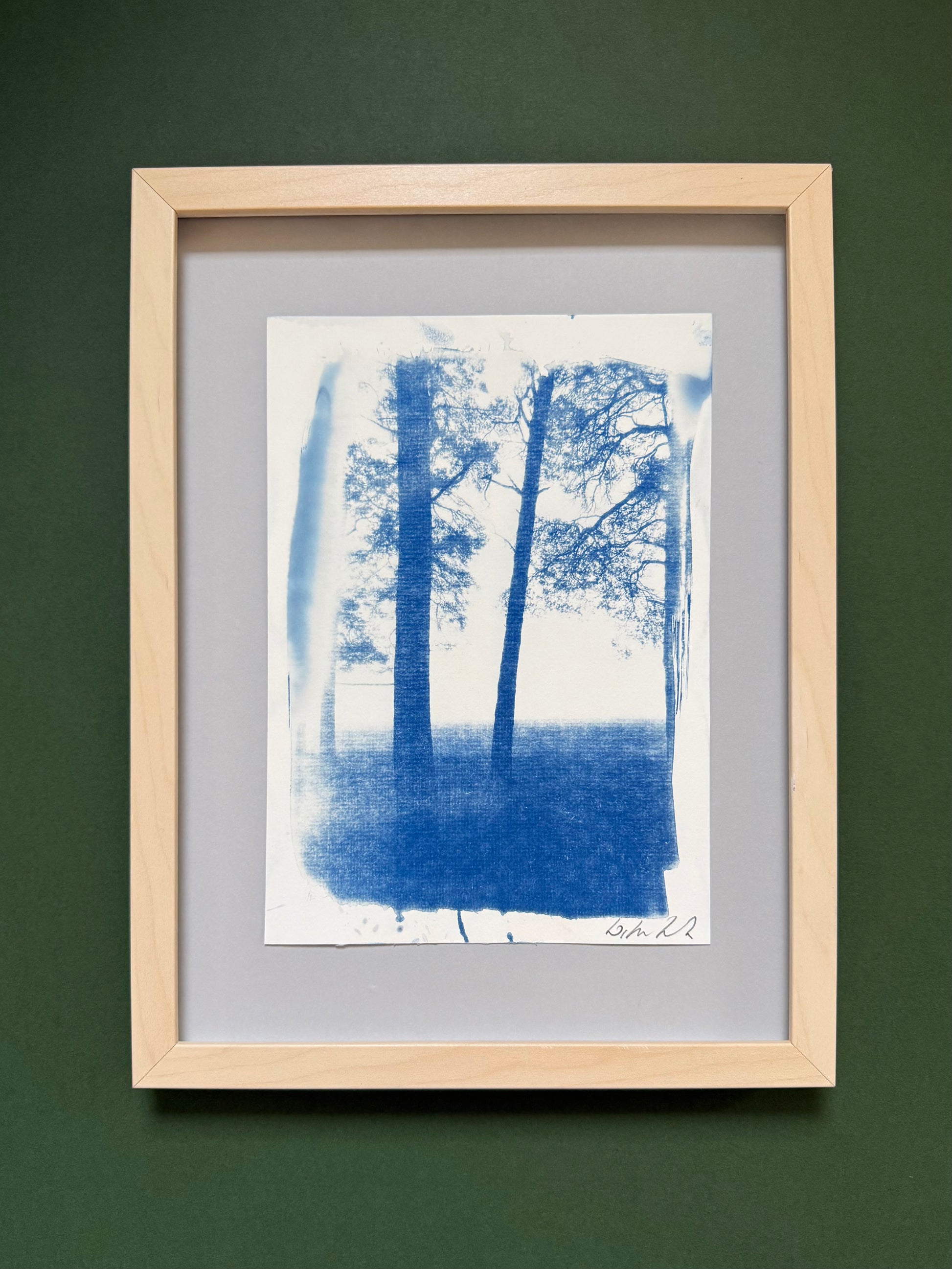 Framed original handmade cyanotype of pine trees on Lickey Hills, Worcestershire, presented in a light wood frame with a grey mount, ready to hang.