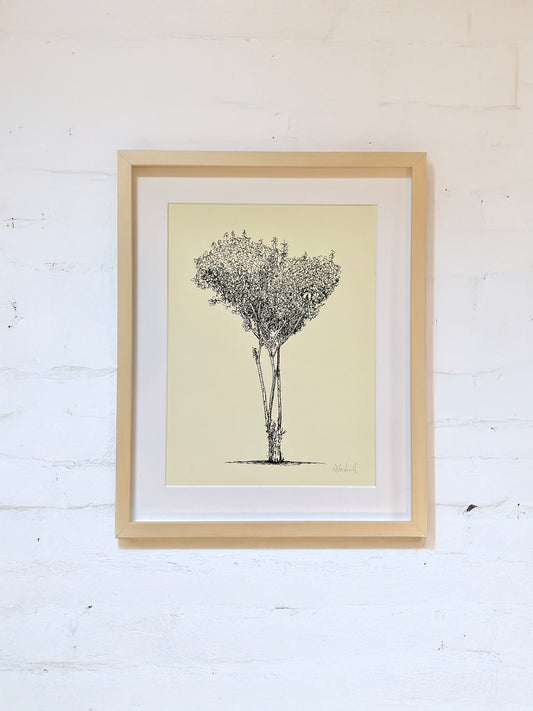 •	Hackney Downs – framed a3 limited edition giclée tree print by Warren Garland
	•	Ink drawing of tree in Hackney Downs park – fine art print
	•	Urban tree artwork – giclée print from original East London drawing