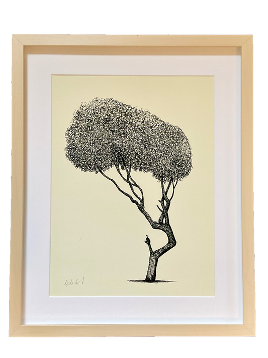 Homerton Longer – A4 Limited Edition Tree Giclée Print