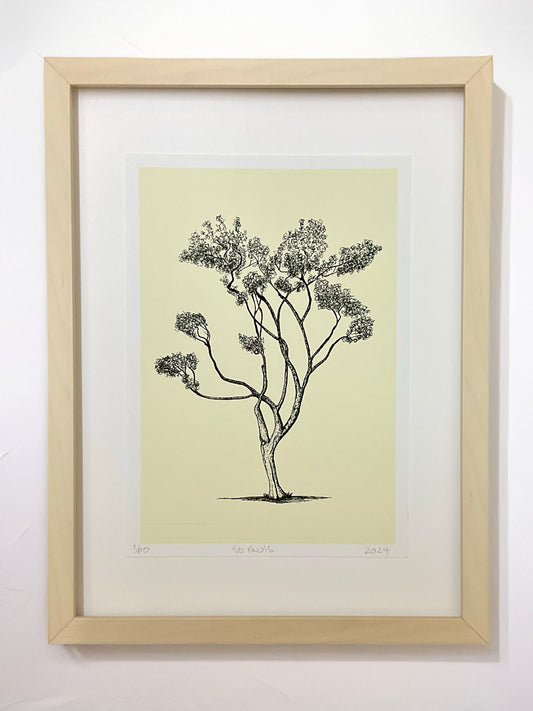 	•	Saint Paul’s – A4 giclée print of tree near Stoke Newington church by Warren Garland
	•	UK tree drawing – archival ink art print from Warren Drawing Trees
	•	Black and white tree illustration from London – fine art giclée print

