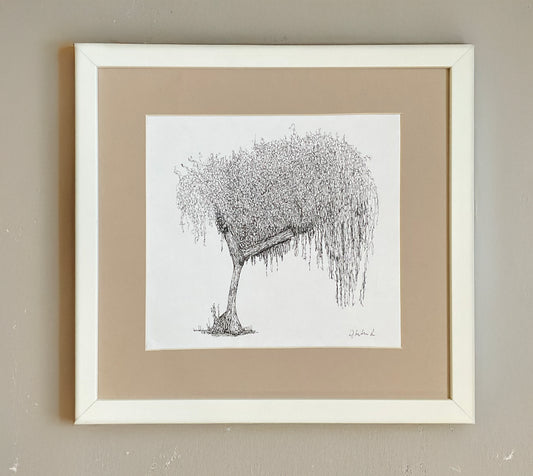 Original pen and ink drawing of a tree in Cannon Hill Park, one side weeping and full, the other neatly trimmed – mounted and ready to frame.