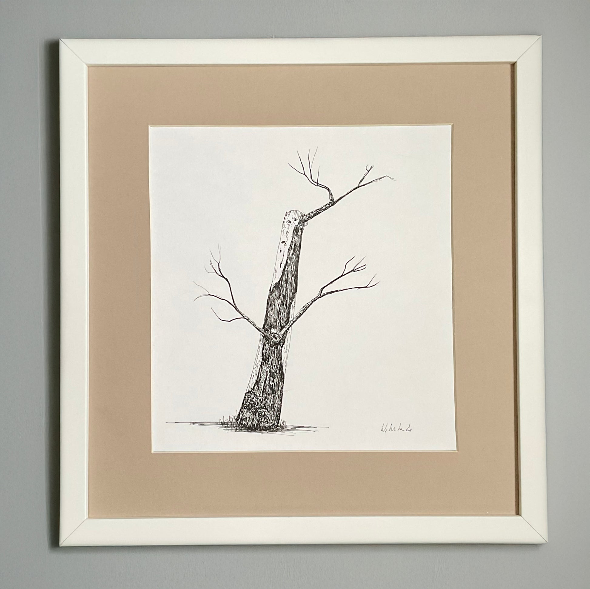 Original ink drawing of a weathered tree trunk with crooked branches, drawn in fine black pen on white paper, displayed in a cream mount.